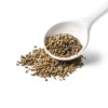 Celery Seed - 1.9oz - Good & Gather™ 1 Celery Seed - 1.9oz - Good & Gather™ -Thrive Maket GUEST 0eb23ee5 9ab7 4646 b8bc 53c41e80f6ed