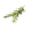 Organic Rosemary - 0.5oz - Good & Gather™